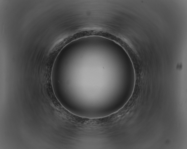 X0000091690967200708231436