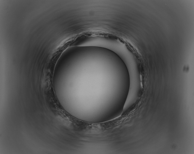 X0000091690968200708231436