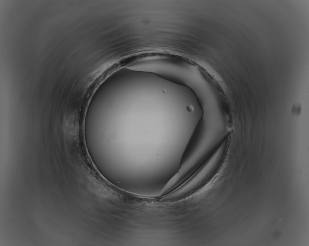 X0000091690969200708231436