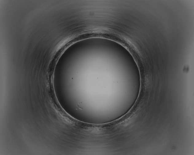 X0000091690970200708231436