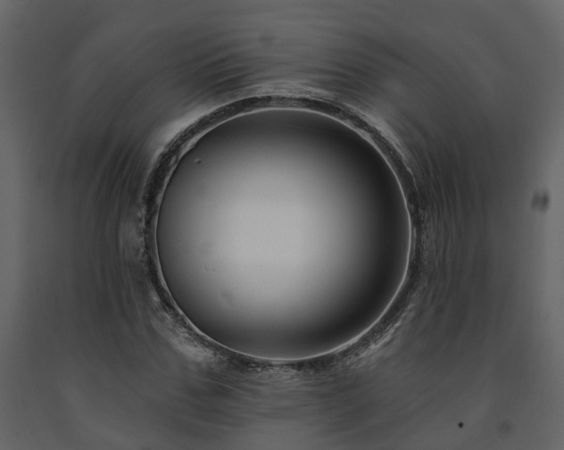 X0000091690971200708231436