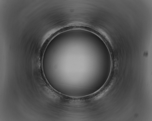 X0000091690973200708231436