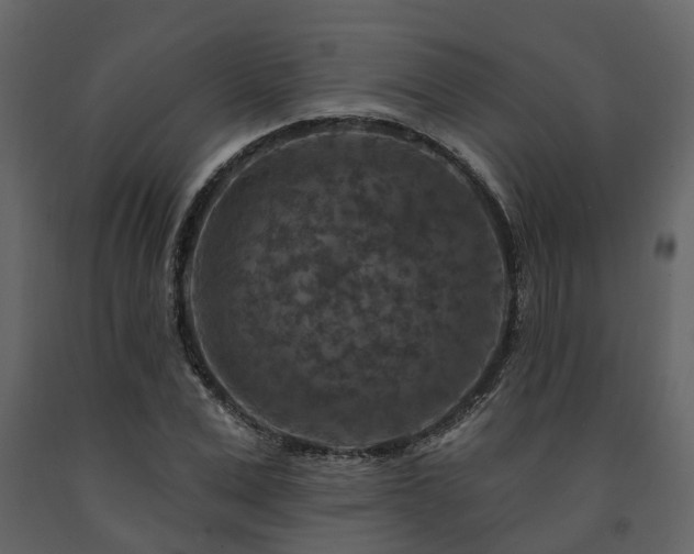 X0000091690975200708231436