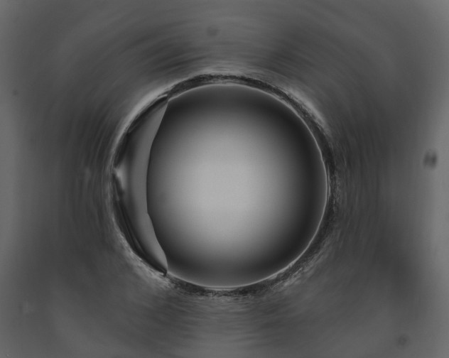X0000091690976200708231436