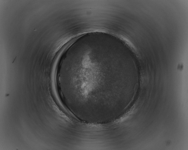 X0000091690977200708231436