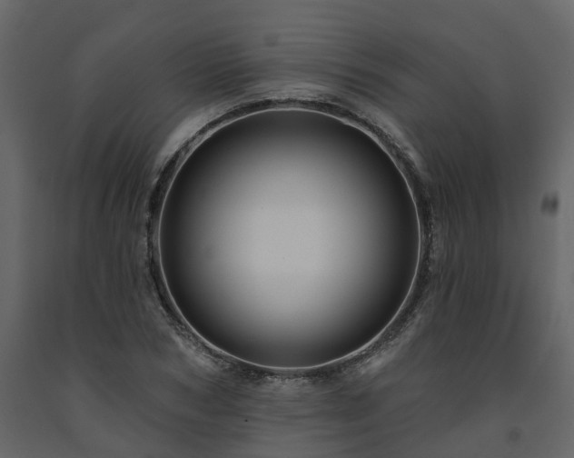 X0000091690978200708231436