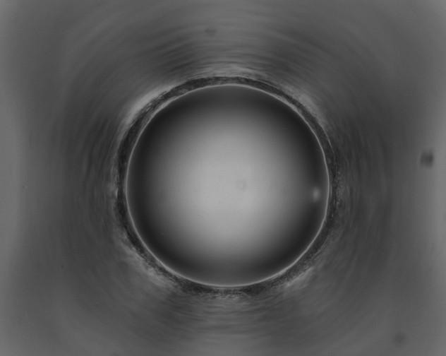 X0000091690979200708231436
