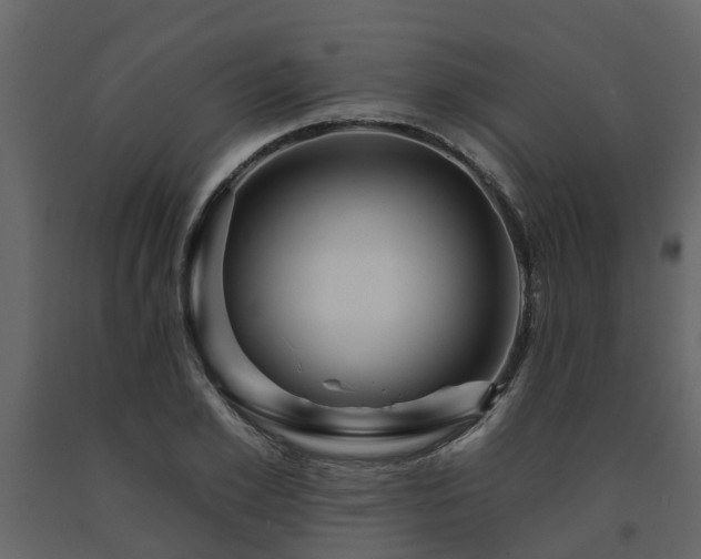 X0000091690981200708231436
