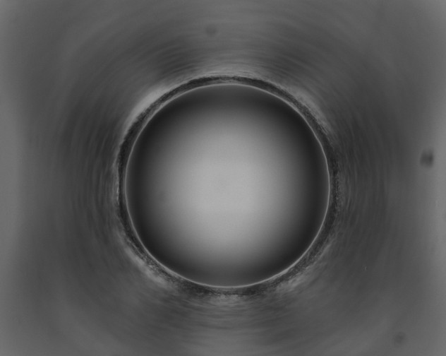 X0000091690982200708231436