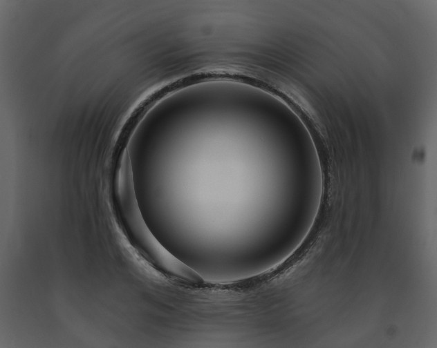 X0000091690984200708231436