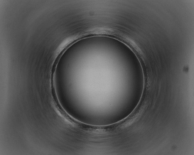 X0000091690986200708231436