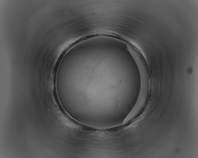 X0000091690987200708231436