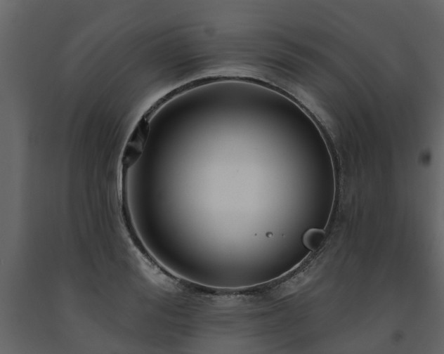 X0000091690988200708231436