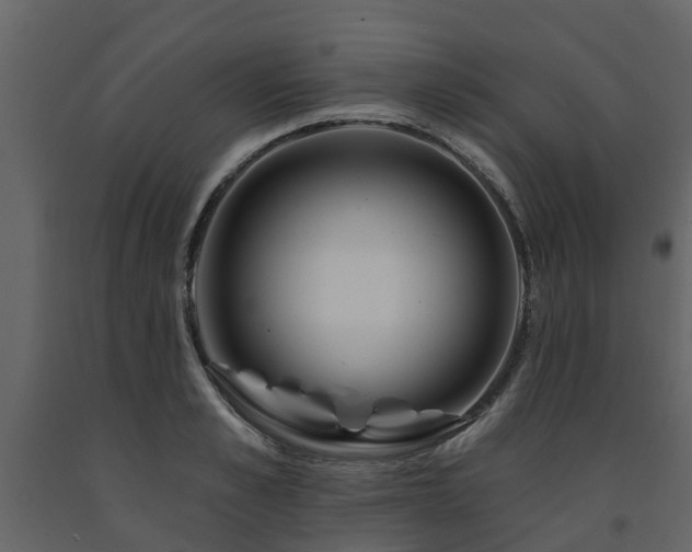 X0000091690989200708231436