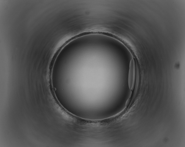 X0000091690990200708231436
