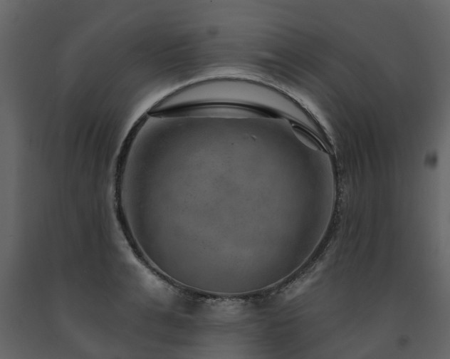 X0000091690991200708231436