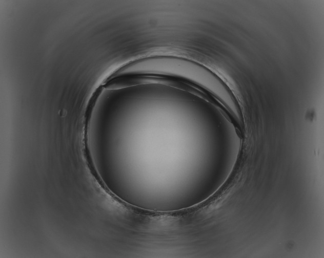 X0000091690992200708231436
