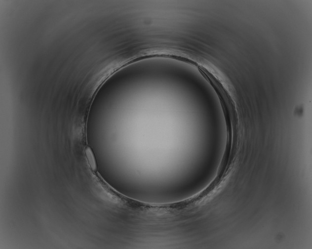 X0000091690993200708231436