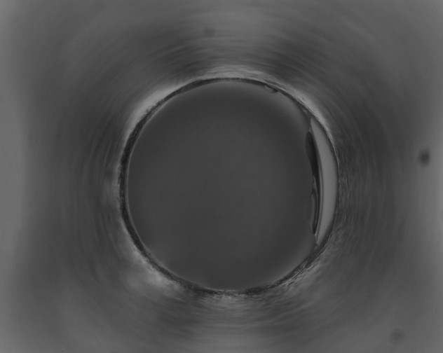 X0000091690995200708231436