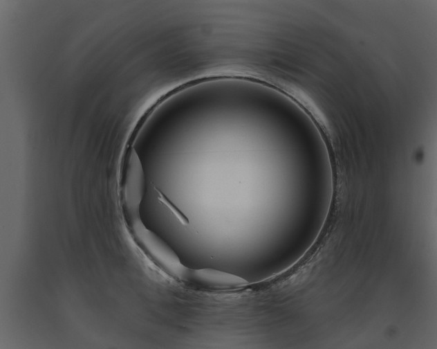X0000091690996200708231436