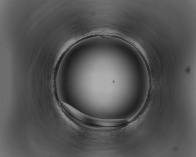 X0000091690997200708231436