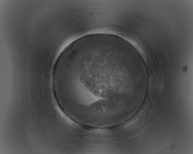 X0000091690998200708231436