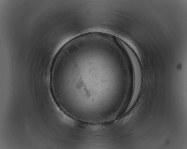 X0000091690999200708231436
