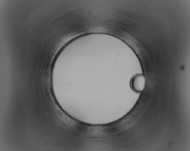 X0000091691000200708231436