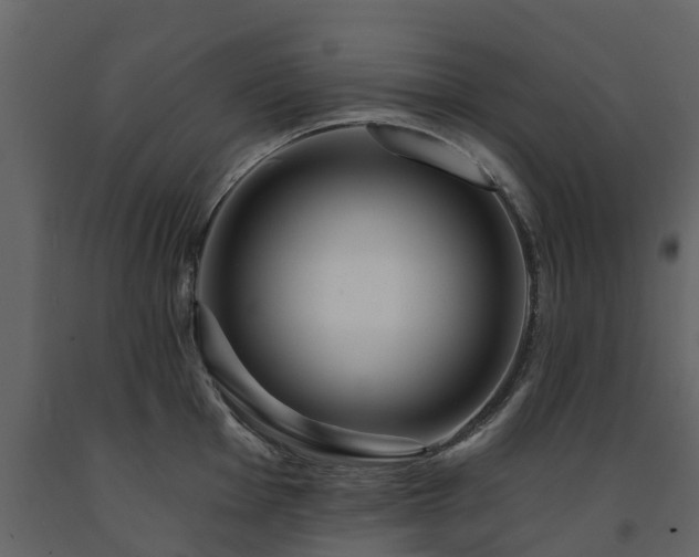 X0000091691001200708231436