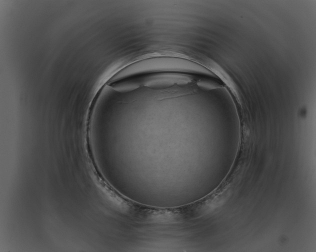 X0000091691002200708231436