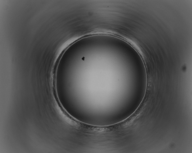 X0000091691003200708231436