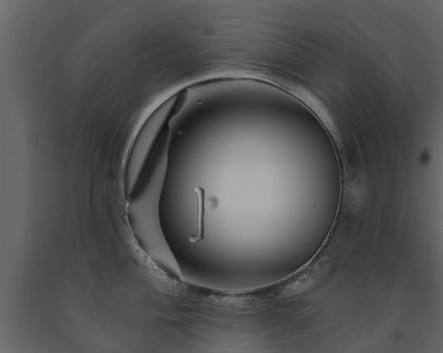 X0000091691004200708231436