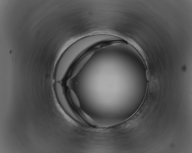 X0000091691005200708231436