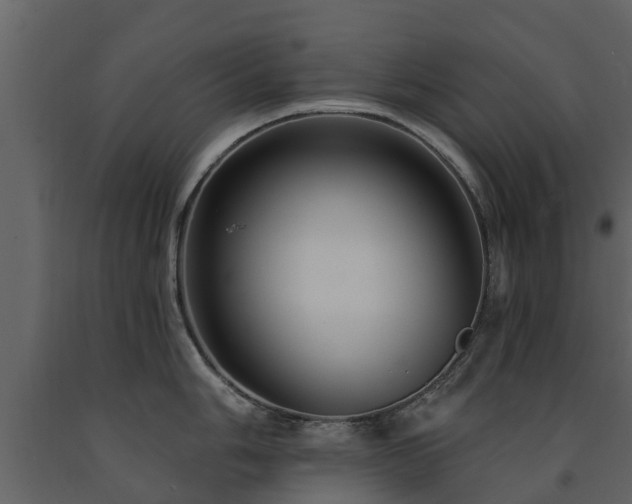 X0000091691006200708231436