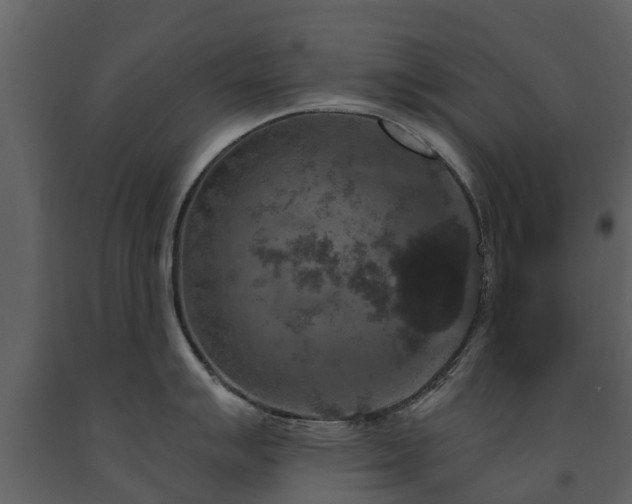 X0000091691007200708231436