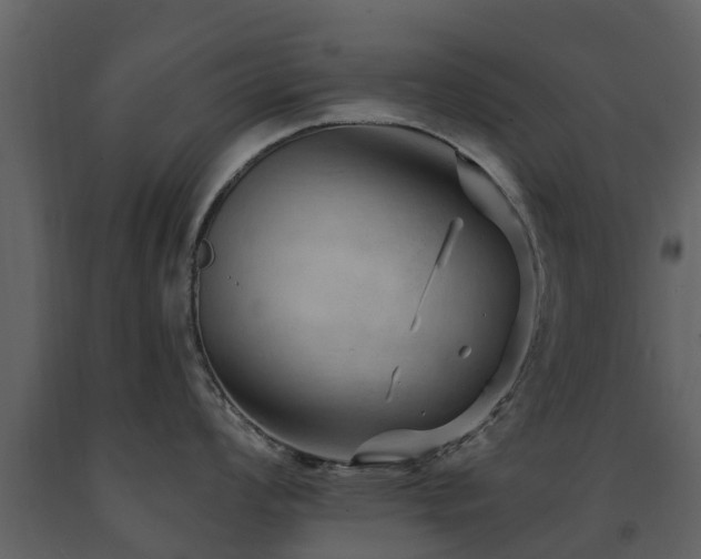 X0000091691008200708231436
