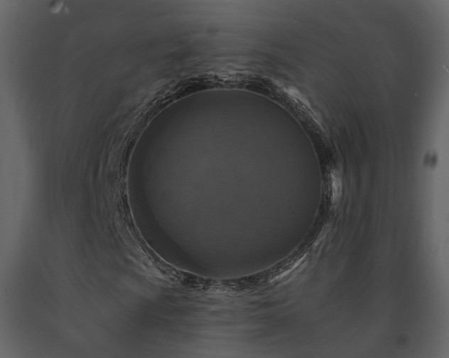X0000091691009200708231435