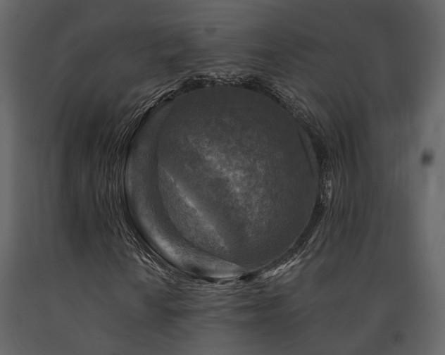 X0000091691010200708231435
