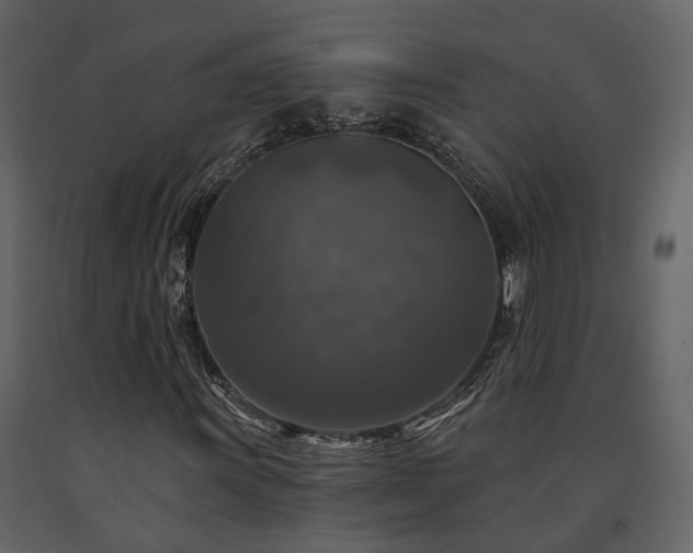 X0000091691011200708231435