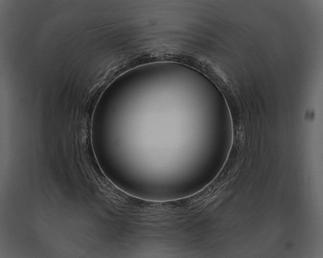 X0000091691012200708231435