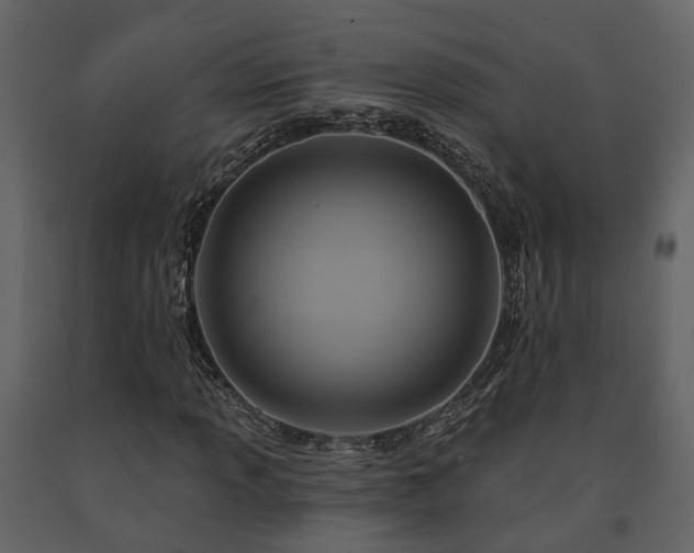 X0000091691013200708231435