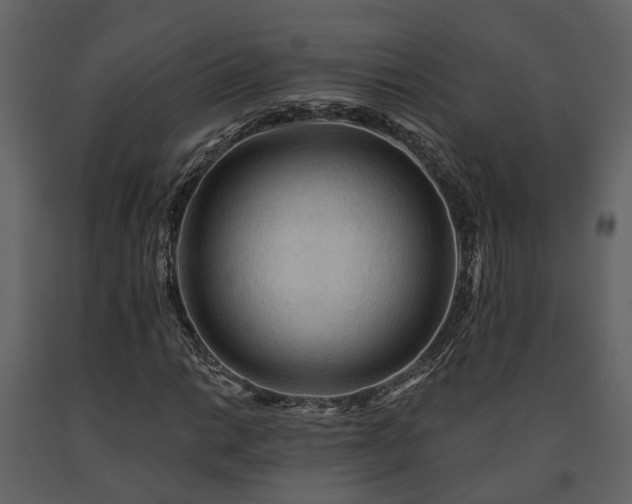X0000091691014200708231435