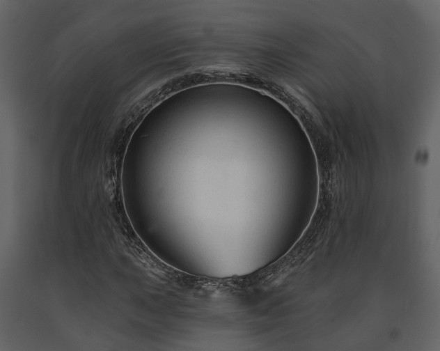 X0000091691015200708231435
