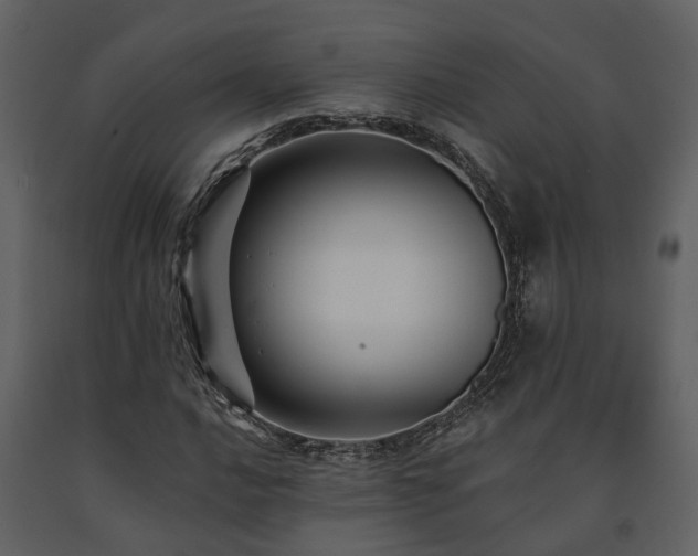 X0000091691016200708231435