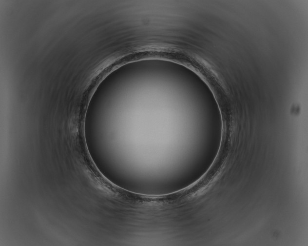 X0000091691017200708231435