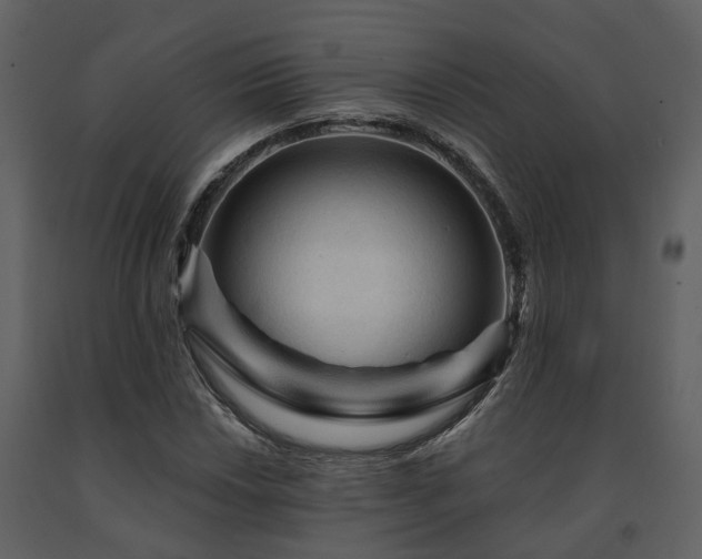 X0000091691018200708231435