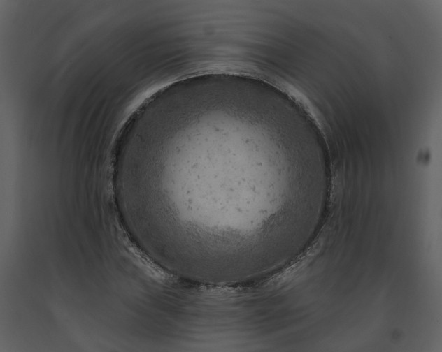 X0000091691019200708231435