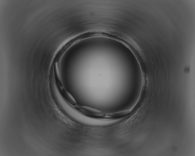 X0000091691020200708231435