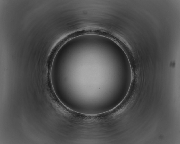 X0000091691021200708231435