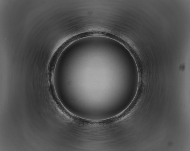 X0000091691022200708231435